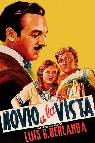 Novio a la vista afişi