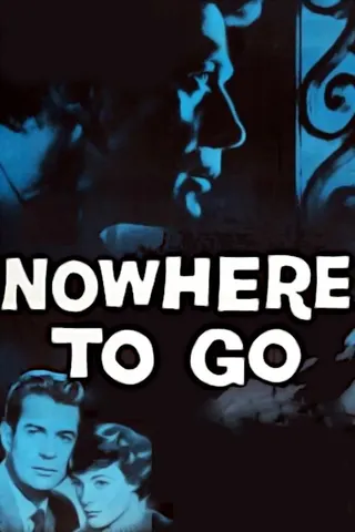 Nowhere to Go afişi