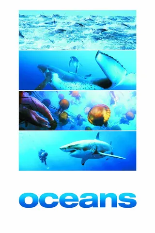 Görsel: TMDB Oceans afişi