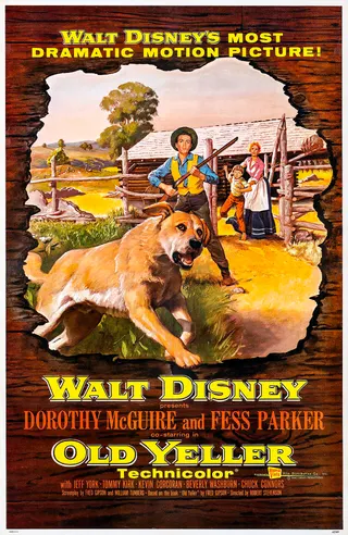Görsel: "Distributed by Buena Vista Distribution Co., Inc. © Walt Disney Productions." / Kamu malı Old Yeller afişi