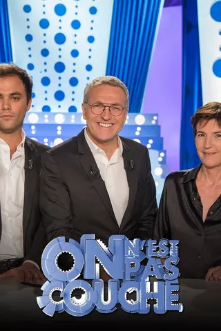 Görsel: TMDB On n'est pas couché afişi