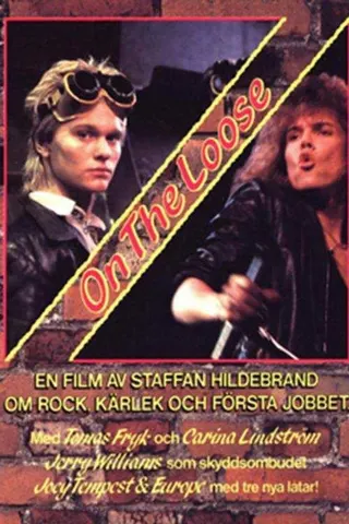 Görsel: TMDB On the Loose afişi