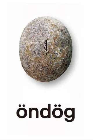 Görsel: TMDB Öndög afişi