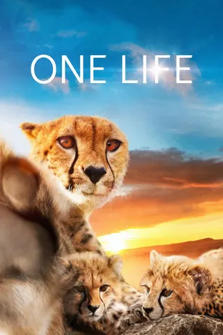 Görsel: TMDB One Life afişi