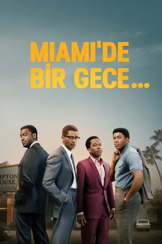 One Night in Miami... afişi