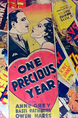 One Precious Year afişi