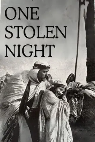 Görsel: TMDB One Stolen Night afişi