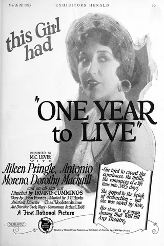 Görsel: TMDB One Year to Live afişi