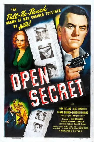 Open Secret afişi