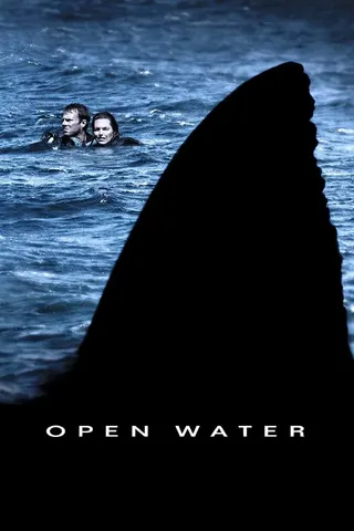 Görsel: TMDB Open Water afişi
