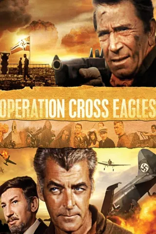 Operation Cross Eagles afişi