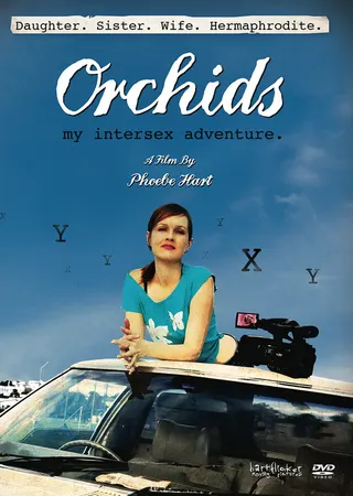 Görsel: TMDB Orchids, My Intersex Adventure afişi