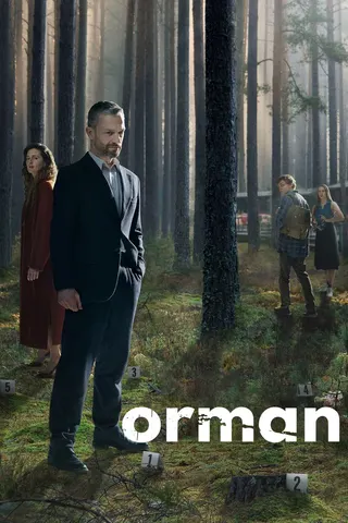 Görsel: TMDB Orman afişi