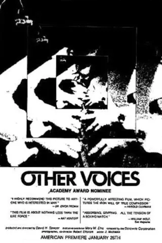 Görsel: TMDB Other Voices afişi