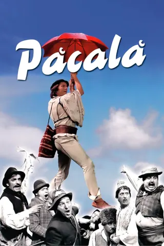 Păcală afişi