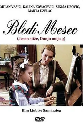 Görsel: TMDB Pale Moon afişi