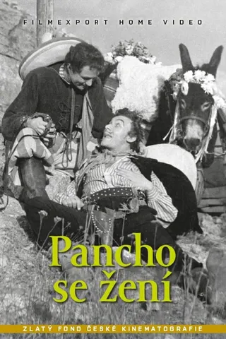 Görsel: TMDB Pancho se žení afişi