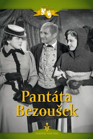 Görsel: TMDB Pantáta Bezoušek afişi