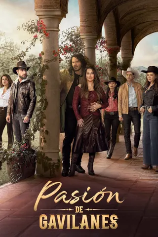 Görsel: TMDB Pasión de Gavilanes afişi