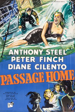 Passage Home afişi