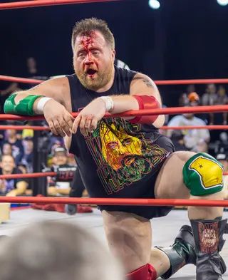 Görsel: KMcWrestling Photography / CC BY-SA Paul Walter Hauser