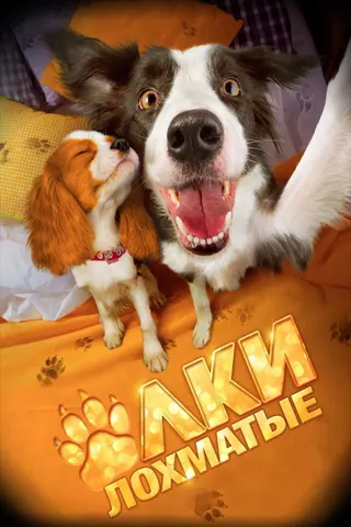 Görsel: TMDB Paws, Bones & Rock'n'roll afişi