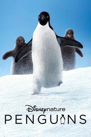 Görsel: TMDB Penguins afişi