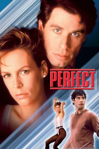 Görsel: TMDB Perfect afişi