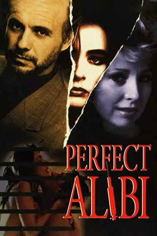 Görsel: TMDB Perfect Alibi afişi