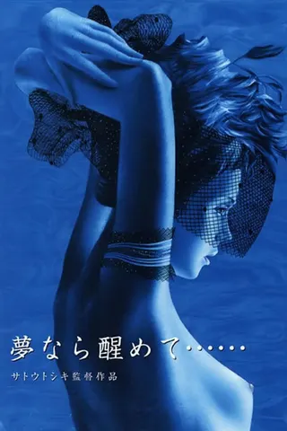 Perfect Blue afişi