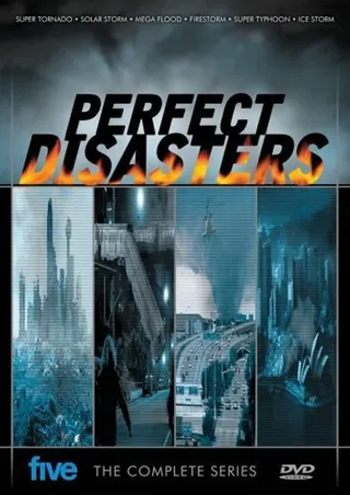 Görsel: TMDB Perfect Disaster afişi