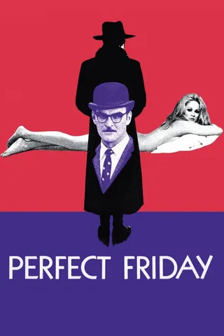 Perfect Friday afişi
