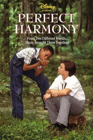 Görsel: TMDB Perfect Harmony afişi