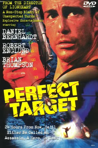 Perfect Target afişi