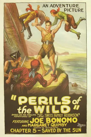 Görsel: TMDB Perils of the Wild afişi