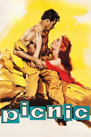 Piknik afişi