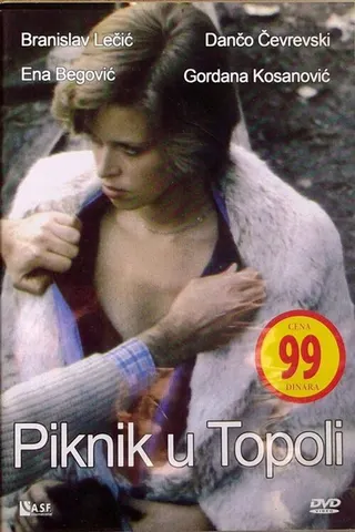Görsel: TMDB Piknik u Topoli afişi