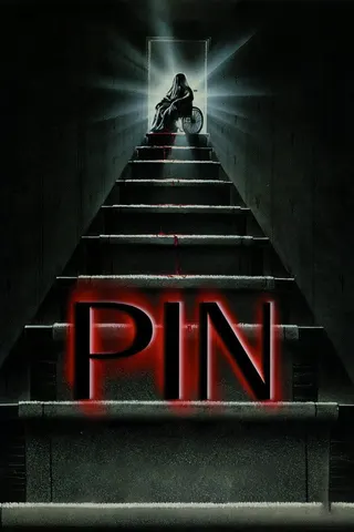 Pin afişi