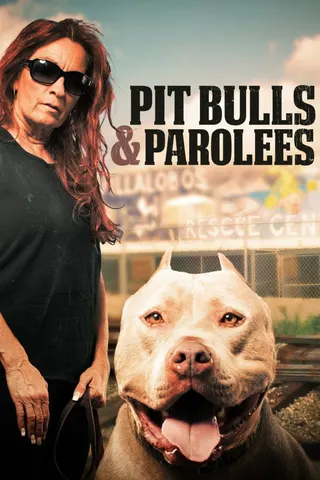 Görsel: TMDB Pit Bulls & Parolees afişi
