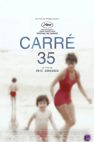 Plot 35 afişi