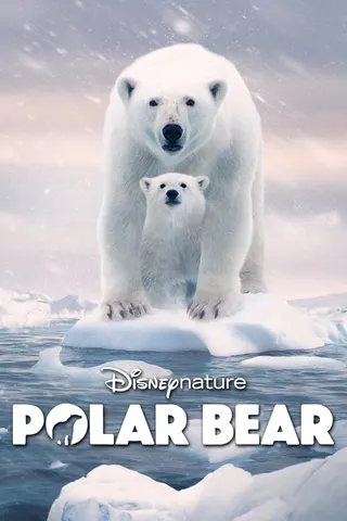 Polar Bear afişi