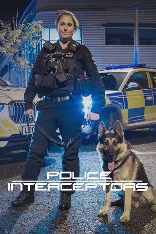 Görsel: TMDB Police Interceptors afişi