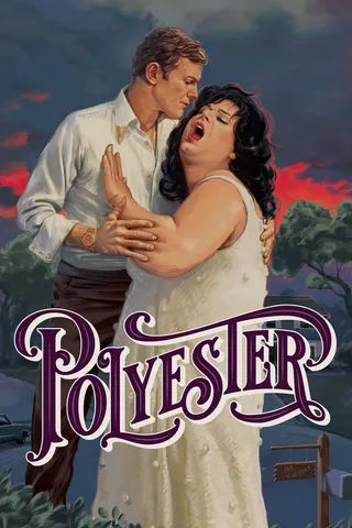 Polyester afişi