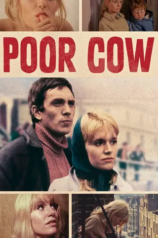 Görsel: TMDB Poor Cow afişi