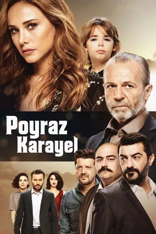 Görsel: TMDB Poyraz Karayel afişi