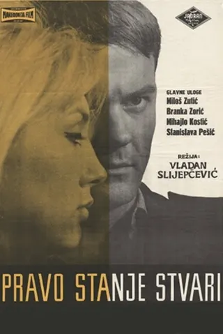 Görsel: TMDB Pravo stanje stvari afişi