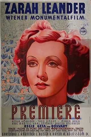 Görsel: TMDB Premiere afişi
