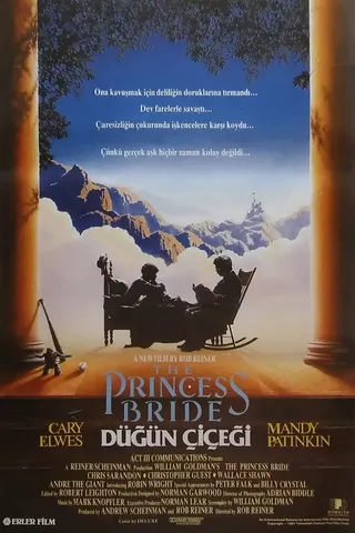 Prenses Gelin afişi