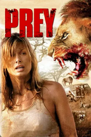 Prey afişi