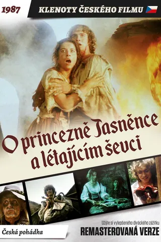 Princess Jasnenka and the Flying Shoemaker afişi